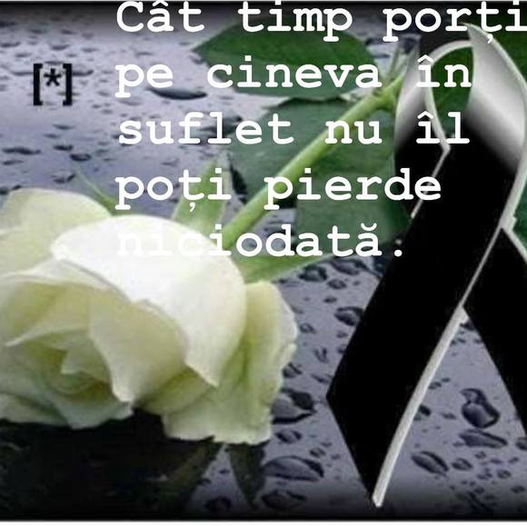 Meet your Posher, Mezei - Picture 1 of 1